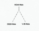 2457-10609-001 , 2457-10609-001 Cable V35 Y HD-44M to M34 Winchester/RS-366 DB 25M 5FT , Polycom ,