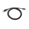 HP Poly Spare Cable - USB-C to Micro USB